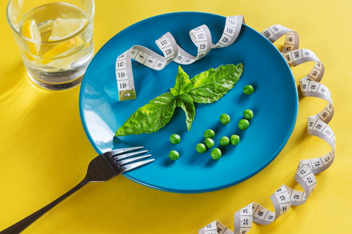 Lácteos saludables como yogur y queso bajo en grasa